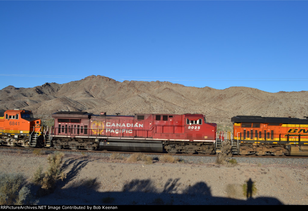 CP 8025